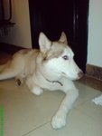 DSC02873