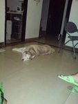 DSC03142
