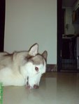 DSC03150
