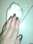 DSC03151