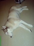 DSC03155
