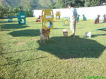 DSC03173