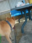 DSC03211