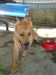 DSC03213
