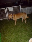 DSC03222