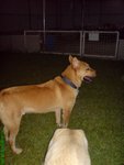 DSC03226
