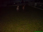 DSC03230