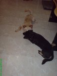 DSC03188