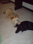 DSC03189