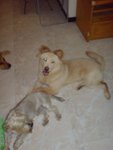 DSC03190