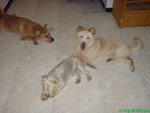 DSC03191