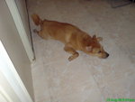 DSC03194