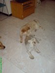 DSC03195