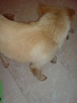 DSC03198