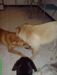DSC03199