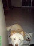 DSC03246