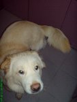 DSC03247