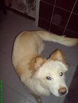 DSC03248