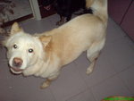 DSC03250