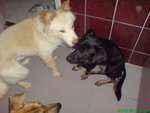 DSC03251