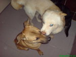 DSC03253
