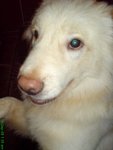 DSC03266