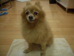 CIMG0988