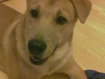 Bigfacewhisky