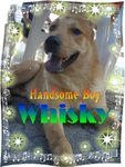 whisky