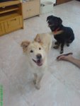DSC02978