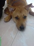DSC02981
