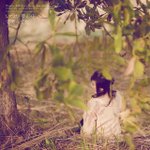 9995101_8746362_1923176355_n