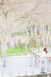 IMG_1699-3