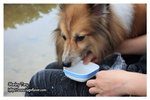 IMG_6111z