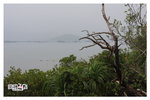 IMG_6124z