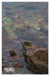IMG_6201z