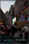 IMG_1544a