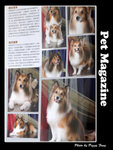 Pet magazine1
