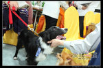 IMG_0187a