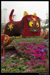 IMG_0917a
