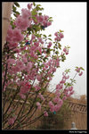IMG_0920a