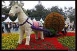 IMG_0994a
