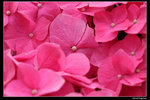 IMG_7543a