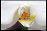 IMG_7659a