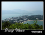 IMG_0451z