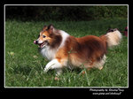 IMG_0836z