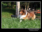 IMG_0848z