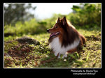IMG_0896z
