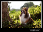 IMG_0898z