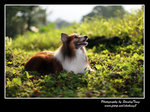 IMG_0918z